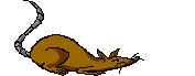 rata imaxes-animadas-gif